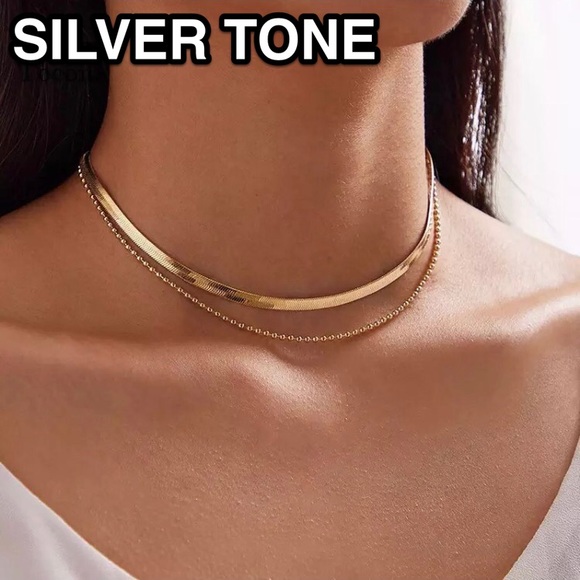 Jewelry - ⚜️[𝟯/$𝟭𝟴]⚜️2 Layered Silver Snake Choker NEW